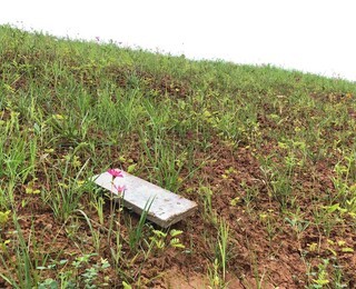 北京微生物制剂 矿山生态修复与环境污染治理的创新利器