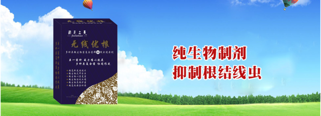 湖北省白芨的形态特征及其结合生物修复制剂的土壤修复方法